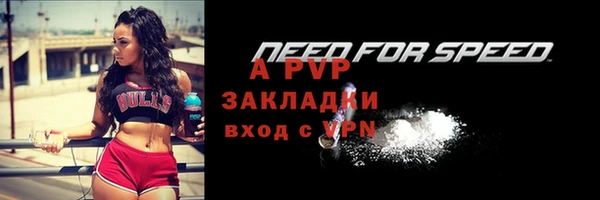 дживик Арсеньев