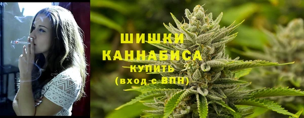 дживик Арсеньев