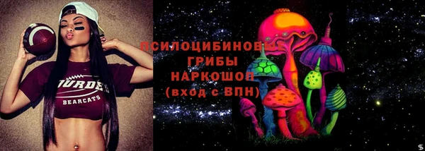 мдпв Медногорск